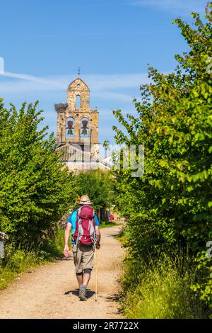 Pilgrim walking the Camino to Santiago de Compostela at Santa Catalina de Somoza, Castilla y Leon, Spain, with Iglesia Parroquial de Santa Maria in th Stock Photo