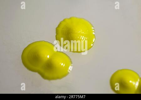 Colonies of Micrococcus luteus bacteria, close-up view Stock Photo