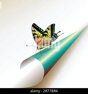 Curled corner with butterfly, vector illustration Stock Vector