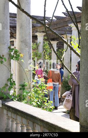 The Georgian Pergola in the Hill Garden with expansive views across Hampstead Heath in north London, UK Stock Photo