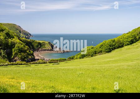 A meadows slopes down to a small beach near Lee Abbey on the rugged Bristol Channel coast of North Devon. Stock Photo