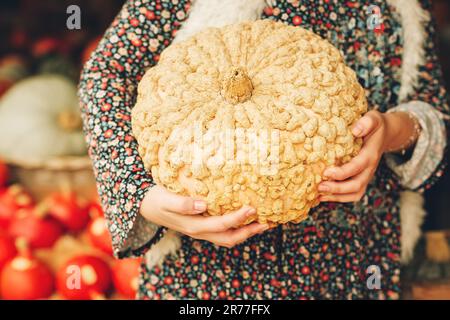 Close up image of white warty pumpkin. Young woman choosing halloween decorative pumpkin Stock Photo