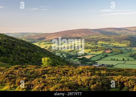 Dawn light falls on Dunkery Beacon hill as seen from Bossington Hill in West Somerset's Exmoor. Stock Photo