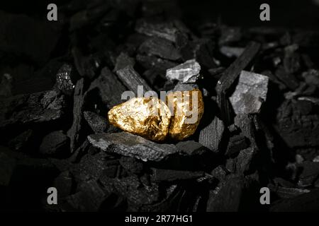 Golden nuggets on black charcoal Stock Photo