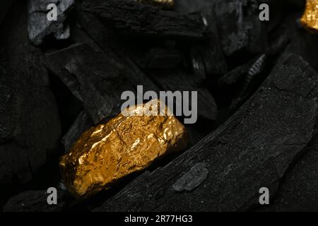 Golden nugget on black charcoal, closeup Stock Photo