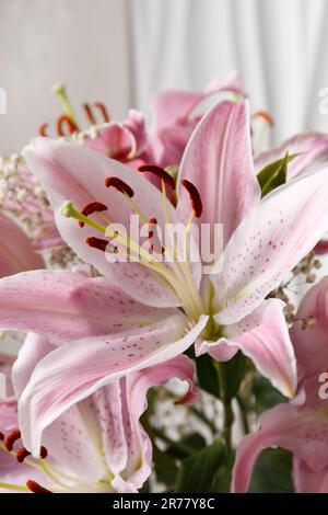 Bouquet of pink lilies on a white background close-up. Lily flowers as a background. Stock Photo
