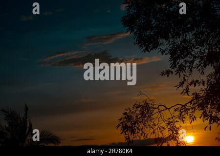 sunset in the forest, magnificent sunset, with blue, orange and red skies and the silhouette of tree branches and leaves on the side Stock Photo