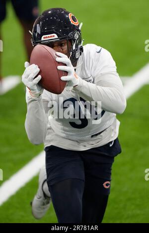 Chicago Bears defensive back Teez Tabor catches a ball during NFL football  practice in Lake Forest, Ill., Wednesday, June 2, 2021. (AP Photo/Nam Y.  Huh Stock Photo - Alamy