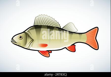 Cartoon bass fish isolated on white background Stock Vector Image & Art -  Alamy