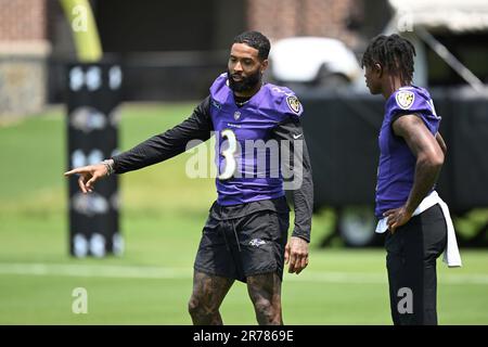 Odell Beckham Jr & Zay Flowers GO OFF! 🔥😳 Ravens Vs Lions 2023