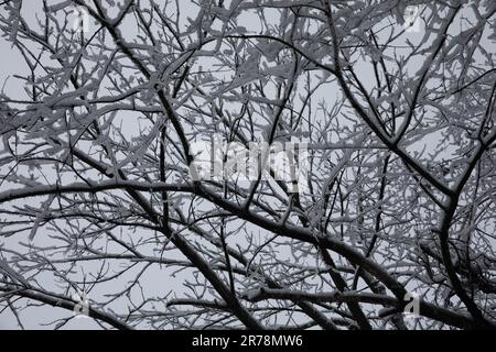 Kankakee River State Park Wintertime Stock Photo - Alamy