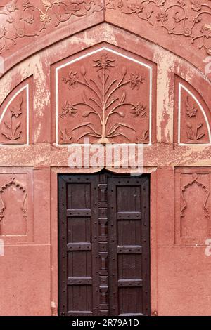 Decorative flowers on red sandstone wall of Taj Mahal above old wooden door, beautiful ancient entrance with wall decorations depicting flowers plants Stock Photo