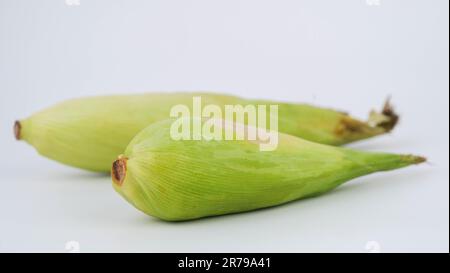Corn on the cob. Corn on white background Stock Photo