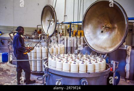 Zambia, Ndola, labourers of Swarp Spinning Mills with cotton yarn on spindles in production hall of the factory. Stock Photo