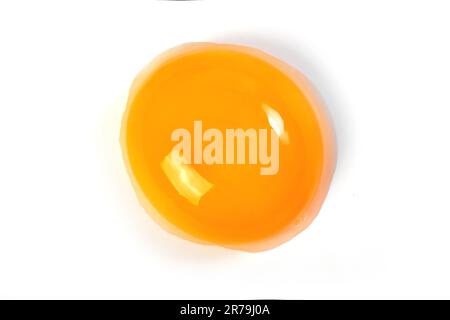 Raw egg yolk on a white background. Close-up. View from above. Protein Stock Photo