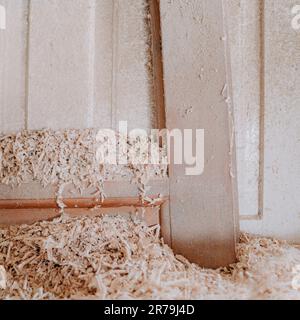 A close-up image of golden wood chips scattered on the floor in an industrial building Stock Photo