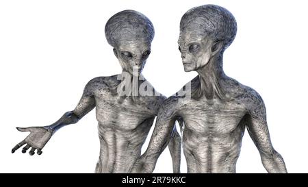 Two humanoid aliens talking between themselves with photo realistic highly detailed skin texture, 3D illustration Stock Photo