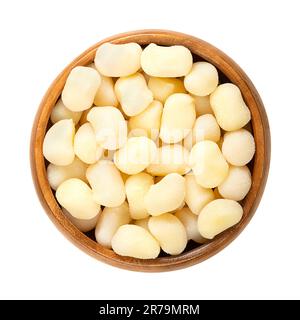 Gnocchini, mini gnocchi, in a wooden bowl. Dumplings in Italian cuisine. Uncooked small lumps of dough, made of potato, wheat flour, egg and salt. Stock Photo