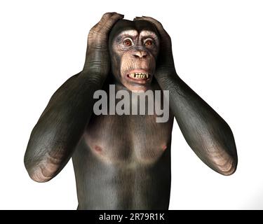 Monkey Poses Stock Illustrations – 408 Monkey Poses Stock Illustrations,  Vectors & Clipart - Dreamstime