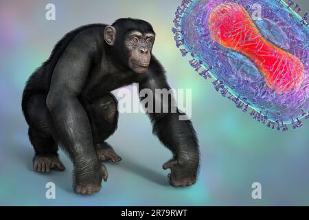 Chimpanzee monkey surrounded by monkeypox viruses, conceptual 3D illustration. Monkeypox awareness concept Stock Photo