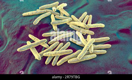 Bacteria Mycobacterium tuberculosis, the causative agent of tuberculosis, 3D illustration, can be used for M. leprae, M. avium complex and other mycob Stock Photo