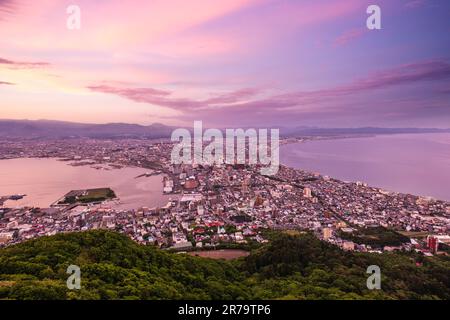 Night View from Mount Hakodate, Goryokaku Tower in Hokkaido, Japan. Stock Photo