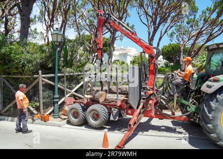 Tree surgeons removing cut and felled trees an using a tractor and grab-arm putting the logs onto a trailer, Algarve, Portugal Stock Photo