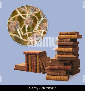 Mold in old books, conceptual 3D illustration. Antique books and close-up view of mold fungi Aspergillus, the most common microscopic fungus found in Stock Photo