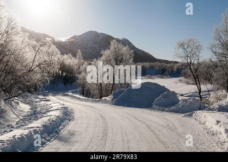 Morning in the wintry mountains. Bright sunshine, frosty trees, and newly fallen snow. Stock Photo