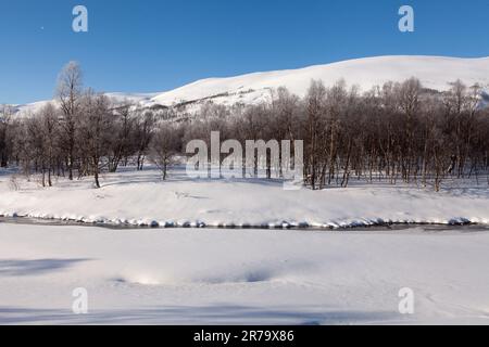 Morning in the wintry mountains. Bright sunshine, frosty trees, and newly fallen snow. Stock Photo