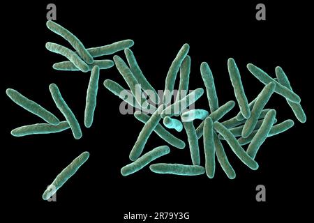 Mycobacterium ulcerans, 3D illustration. The causative agent of Buruli ulcer, a chronic debilitating disease affecting skin and subcutaneous tissues f Stock Photo