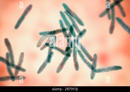 Mycobacterium ulcerans, 3D illustration. The causative agent of Buruli ulcer, a chronic debilitating disease affecting skin and subcutaneous tissues f Stock Photo