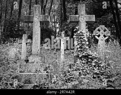 Stone crosses and grave monuments among dense greenery in Highgate Cemetery, a historic Victorian burial ground in North London, England, UK. Stock Photo
