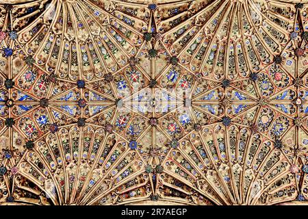 The ornately decorated Gothic fan vaulted ceiling of Sherborne Abbey with its colourful designs and symbols. Dorset, England, United Kingdom Stock Photo