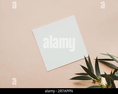 White blank paper square card mockup and green eucalyptus branch on beige background. Minimal aesthetic template. Flat lay, top view Stock Photo