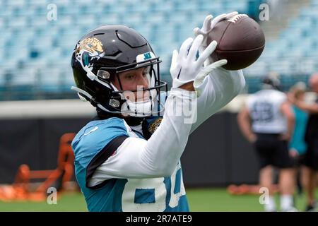 Jacksonville Jaguars wide receiver Oliver Martin (88) stiff arms Detroit  Lions cornerback Chase Lucas (27) during an preseason NFL football game in  Detroit, Saturday, Aug. 19, 2023. (AP Photo/Paul Sancya Stock Photo - Alamy