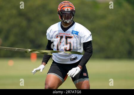 Orlando Brown Jr.: Five things to know about the Cincinnati Bengal