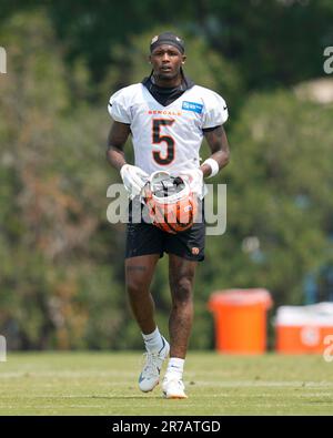 Bengals WR Tee Higgins holds himself out of team drills during