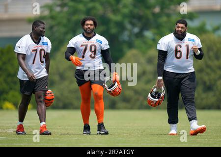 Cincinnati Bengals' D'Ante Smith (70), Jackson Carman (79) and Cody Ford  (61) walk during practice at the team's NFL football training facility,  Tuesday, June 6, 2023, in Cincinnati. (AP Photo/Jeff Dean Stock Photo -  Alamy