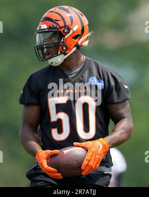 Cincinnati Bengals sign Mill Creek grad Shaka Heyward