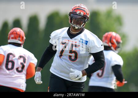 Orlando Brown Jr.: Five things to know about the Cincinnati Bengal