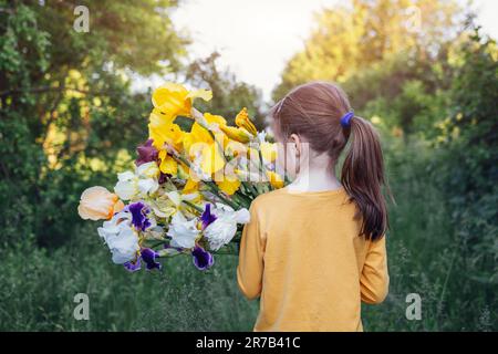 Little girl in yellow t-shirt carries huge bouquet of white flowers on her shoulder outdoors on meadow. Brunette kid standing back and holding flowers Stock Photo