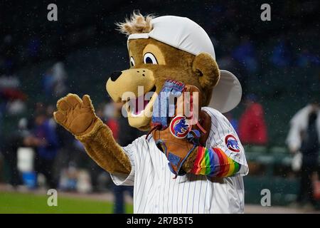 Clark, the Chicago Cubs mascot, wears a rainbow sleeve as he prepares to  catch ceremonial first pitches at Pride Night before a baseball game  between the Cubs and the Pittsburgh Pirates on