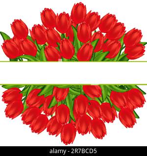 Vector illustration of red tulips. Gradient meshes. Stock Vector