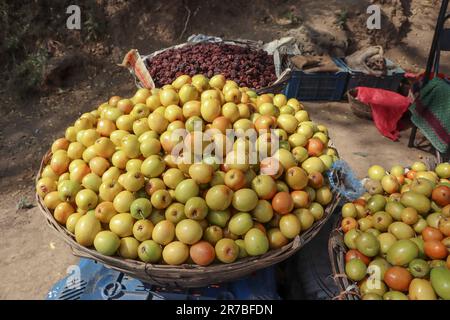 Ber or Bora fruits heap, known as indian plum or jujube berries. Plucked in village from wild tree Stock Photo