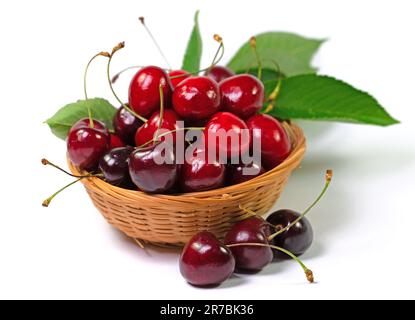 Sweet cherries,  Prunus avium, against white background Stock Photo