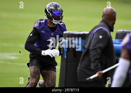 Baltimore Ravens wide receiver Odell Beckham Jr. (3) works out during the  team's NFL football training camp, Saturday, July 29, 2023, in Baltimore.  (AP Photo/Nick Wass Stock Photo - Alamy