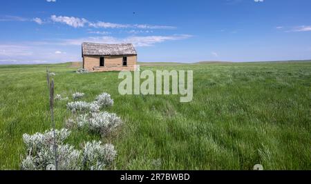 Abandoned wooden house on a hill near Havre, Montana, USA Stock Photo