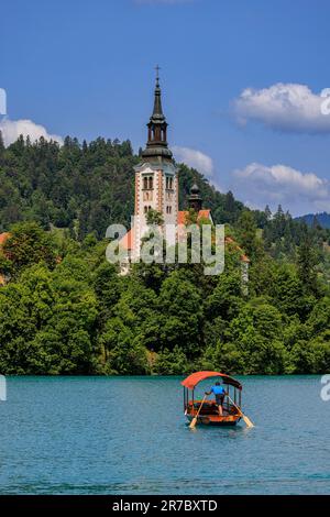 a pletna boat rows out to the church of the mother of god on bled island the oarsman standing upright to row Stock Photo