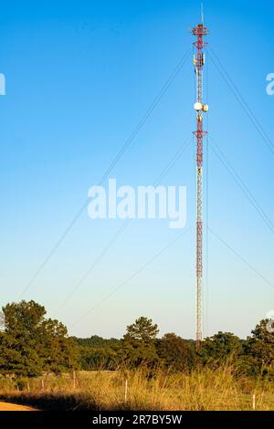 Cell phone tower in rural Alabama rises high into the sky in a cow pasture. Stock Photo